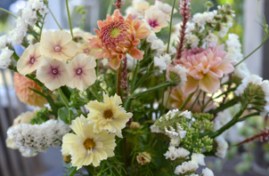 Drømmen om buketter fra egen have begynder nu. Foto: Liv Meinert