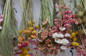 tørrede-blomster-lotte-bjarke.png