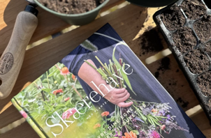 På vej mod buketter fra egen have